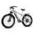 Notting Hill MX-04 "London Moped" Electric E-Bike 1000W Motor with 48V Lithium Battery Road/Mountain/Snow/Beach Ebike Electric Bicycle with 26" Wheels and 4.0 Fat Tyrese e bike e mountain bike