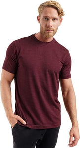 2025 Men's Merino Wool T Shirt Base Layer Wool Tee 100% Shirt Men 170grm Breathable Anti-Odour S to XXL