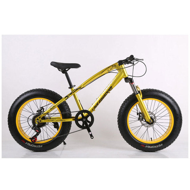 Golden King Beach Bike Snow Bike 27 Speed Dual Disc Brake Wide Cross Cross Country Bike