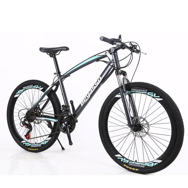 Begasso mountain hot sale bikes